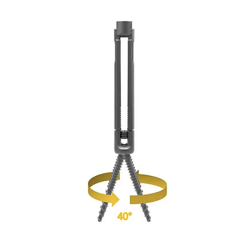 Polyaxial Screw