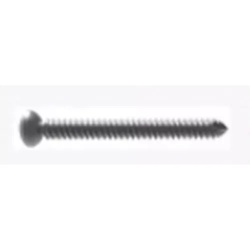 Common Screw