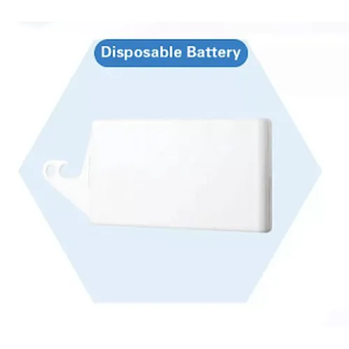 Disposable Battery