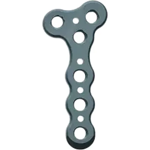 Tuberosity Locking Plate