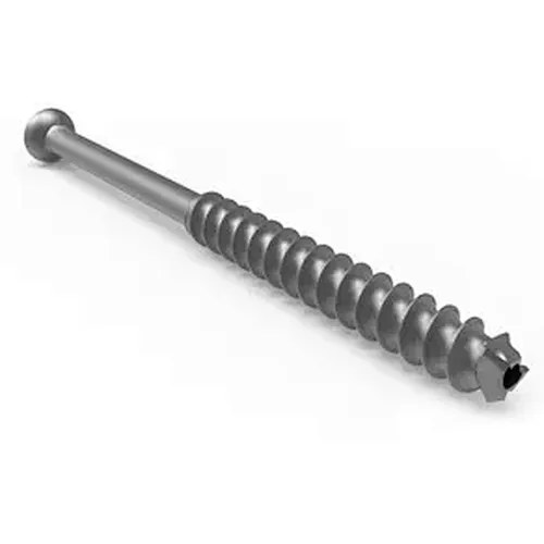 Cannulated Screw