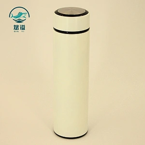 Vacuum Thermos Bottle