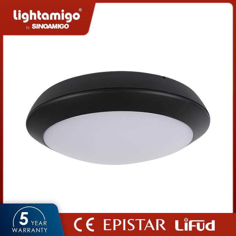 SX30 LED Ceiling Light  IP66 waterproof  5 years warranty