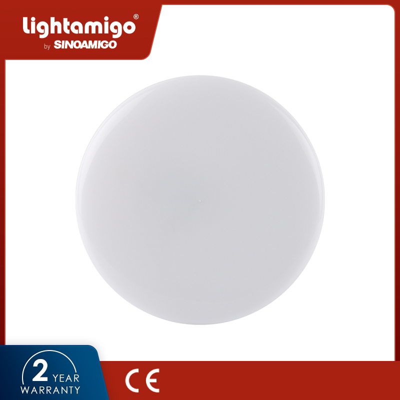 SX06 LED Ceiling Light