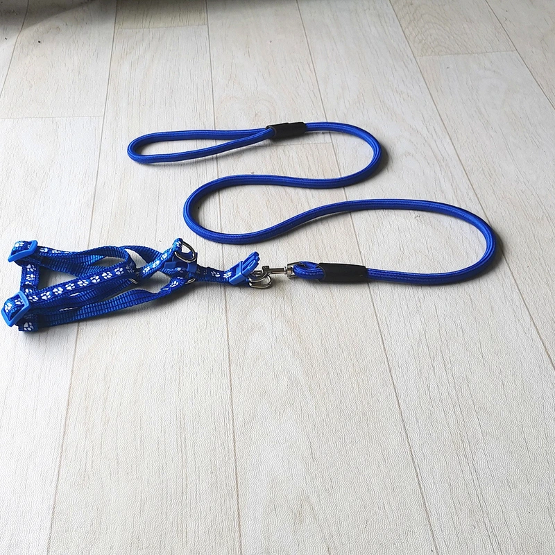 2021 new design pet product Custom wholesale retractable luxury collar dog leash