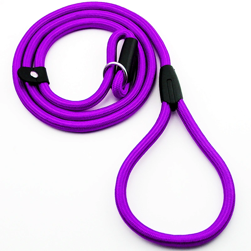 Lowest Price Nylon Pet P Rope Pet Chain Leads Puppy Dog Training Leash