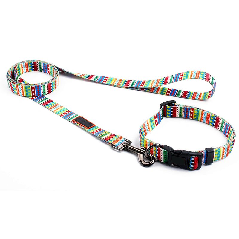 Daily Outdoor Walking Running Training Small Medium Large Dog Collar Leash Set