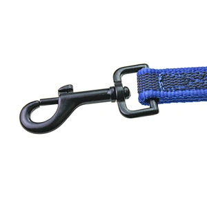 Free Sample Personalized Reflective Pet Training Leash