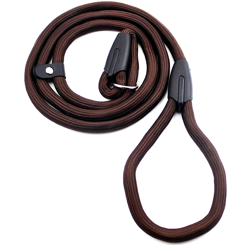 Lowest Price Nylon Pet P Rope Pet Chain Leads Puppy Dog Training Leash