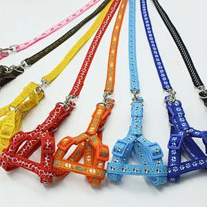 2021 new design pet product Custom wholesale retractable luxury collar dog leash