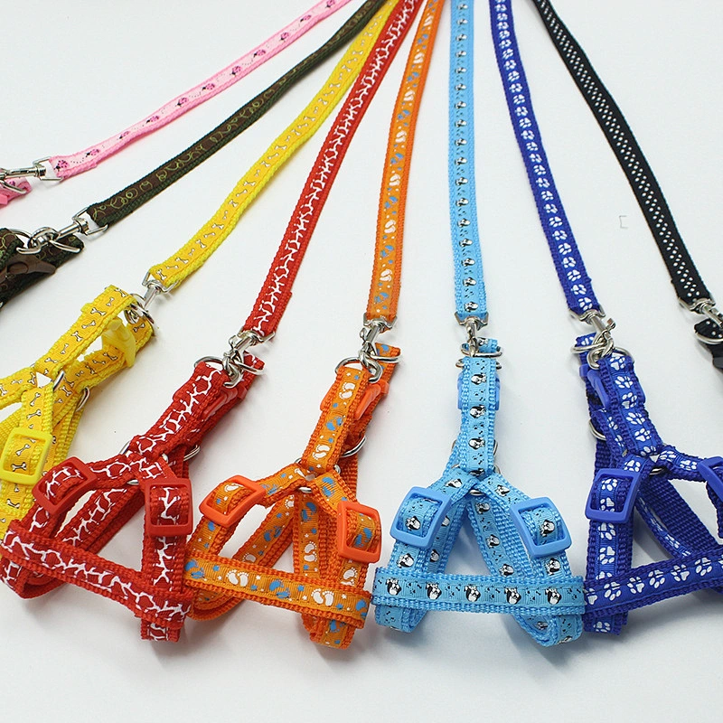 2021 new design pet product Custom wholesale retractable luxury collar dog leash
