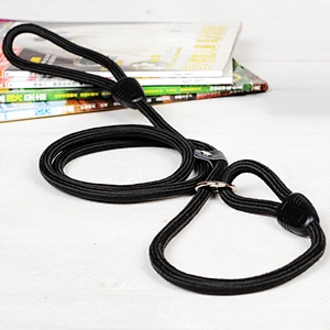 Practical PP rope Pets, Outing For Small & Medium Breed Dogs Nylon Rope Leashing