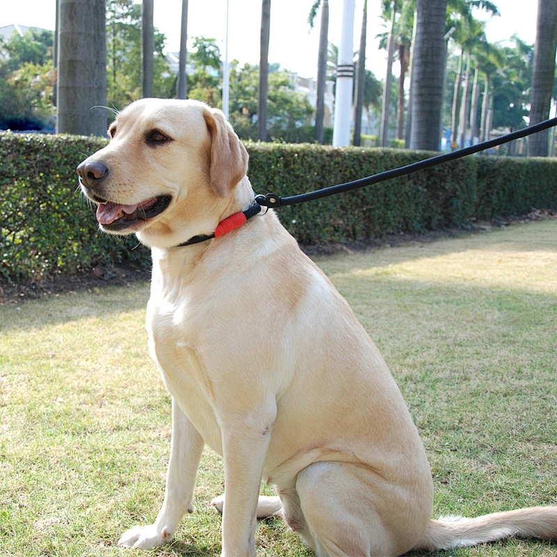 Practical PP rope Pets, Outing For Small & Medium Breed Dogs Nylon Rope Leashing