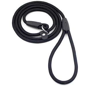 Lowest Price Nylon Pet P Rope Pet Chain Leads Puppy Dog Training Leash