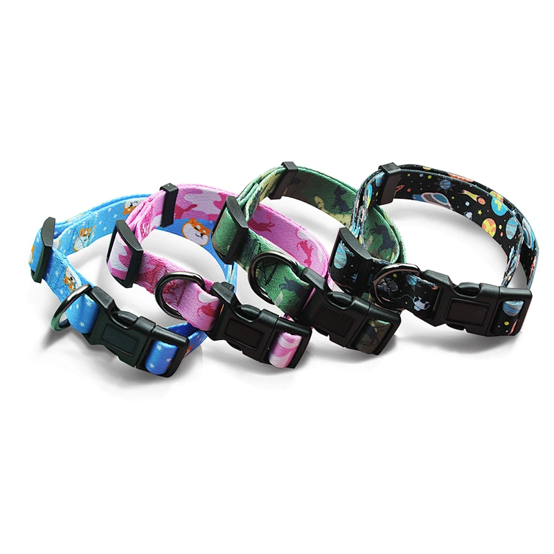 Hot Selling Colorful New Design Heat Transfer Printing 100% Polyester Dog Collar