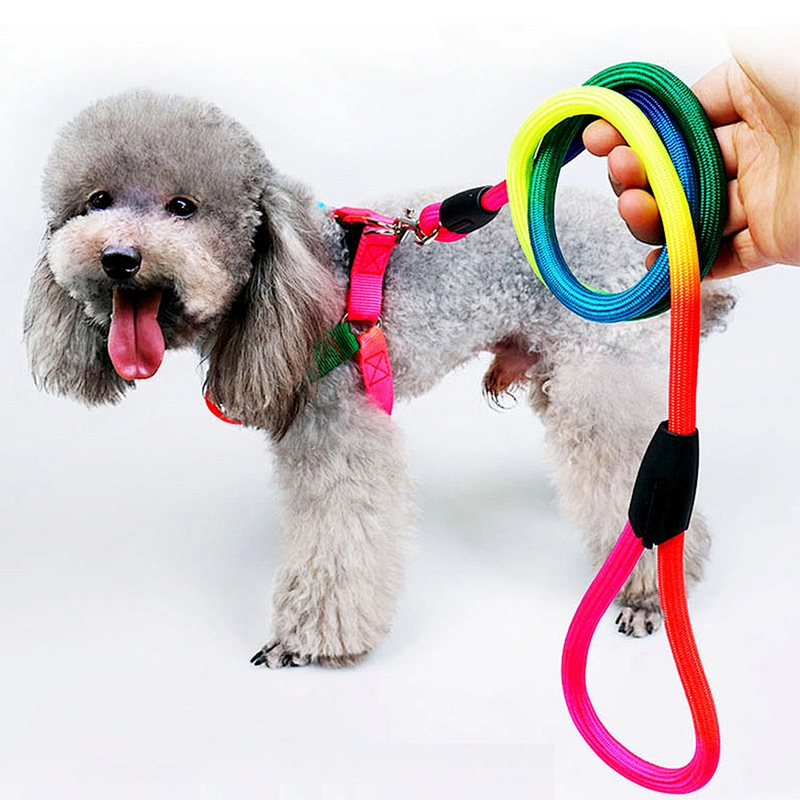 Popular Pretty Durable Length Adjustable, Comfortable Fit Suitable for Small Pet Dog's Chest Straps Leash Chain