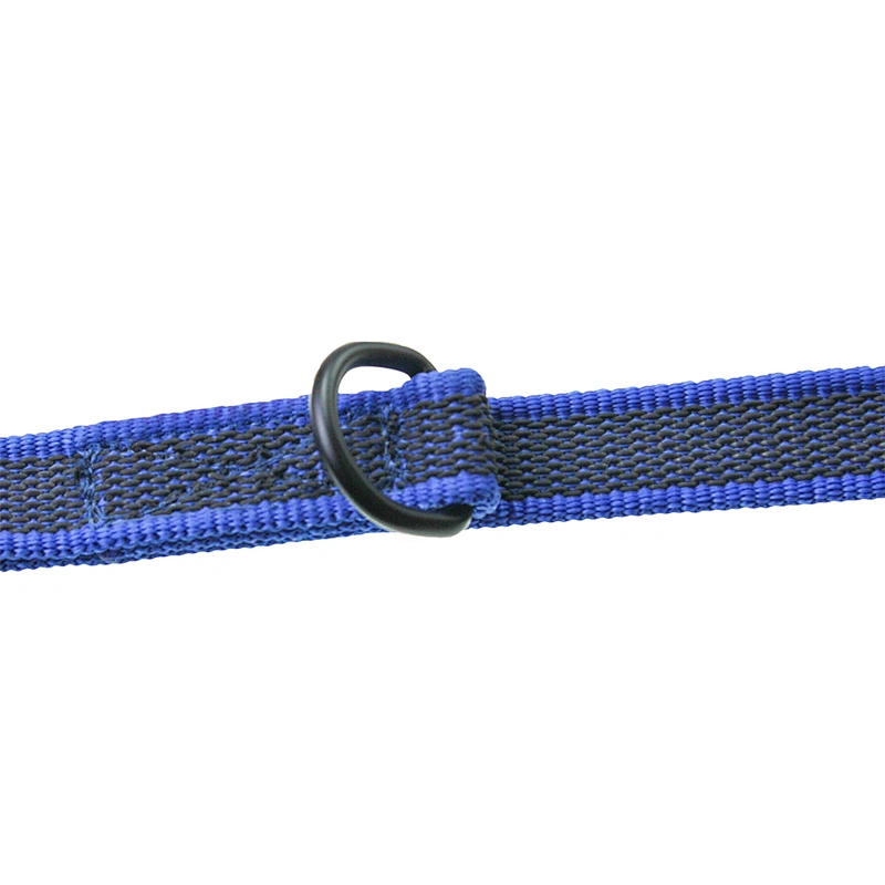 Free Sample Personalized Reflective Pet Training Leash
