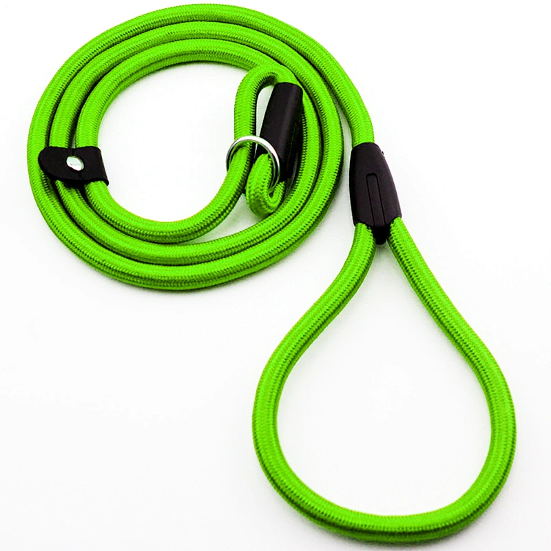 Lowest Price Nylon Pet P Rope Pet Chain Leads Puppy Dog Training Leash