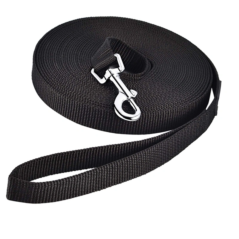High Quality Good Selling Custom Logo Nylon Webbing Dog Leash With Padded Handle