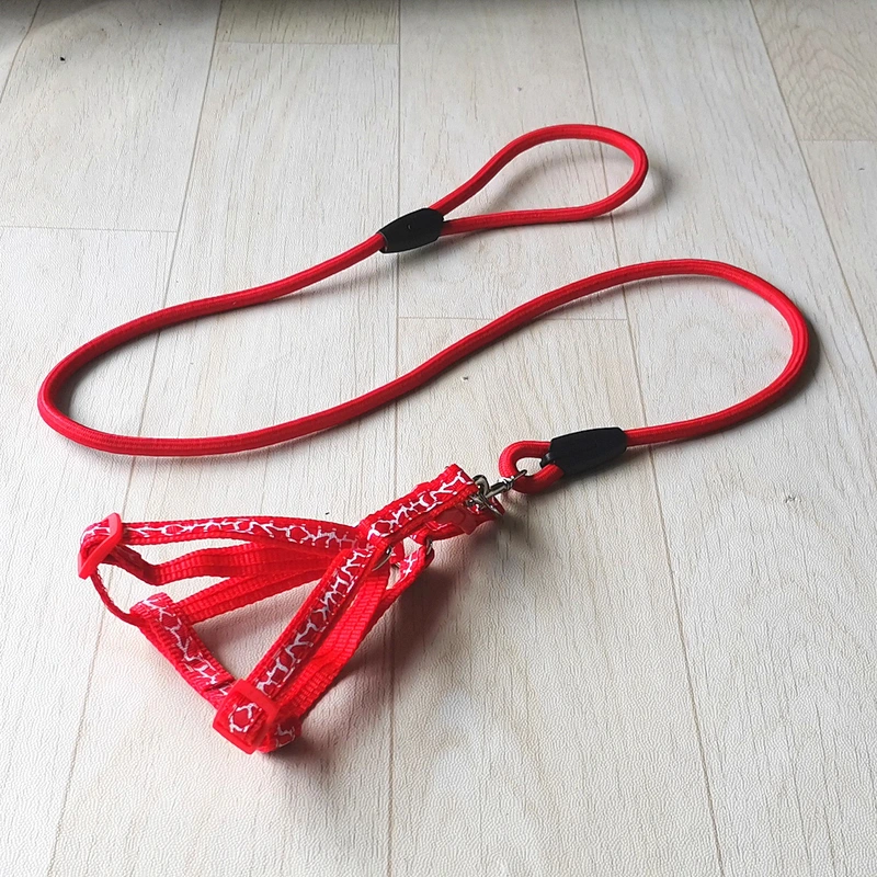 2021 new design pet product Custom wholesale retractable luxury collar dog leash