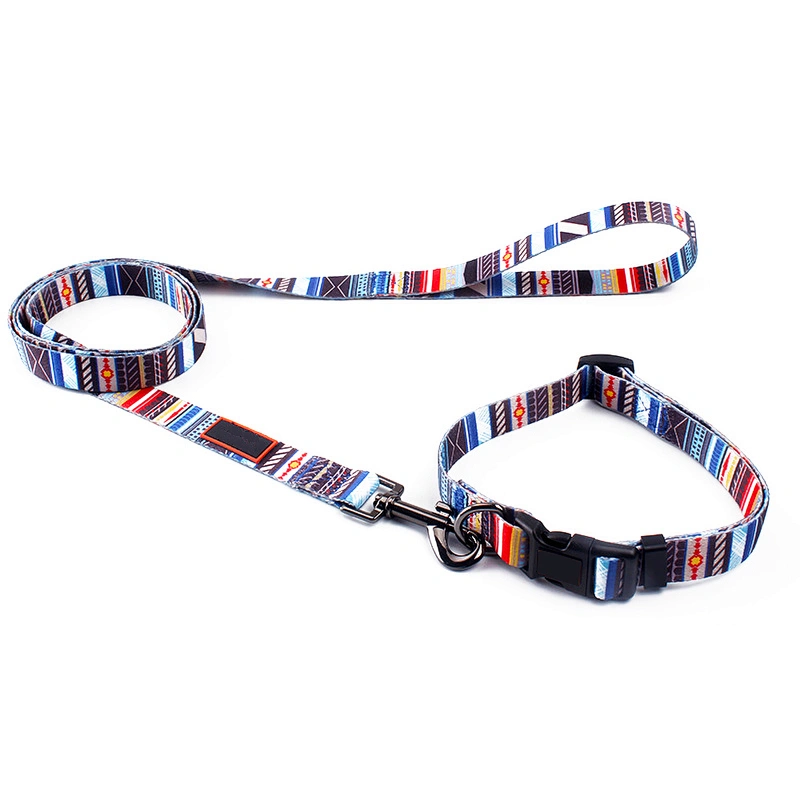 Daily Outdoor Walking Running Training Small Medium Large Dog Collar Leash Set