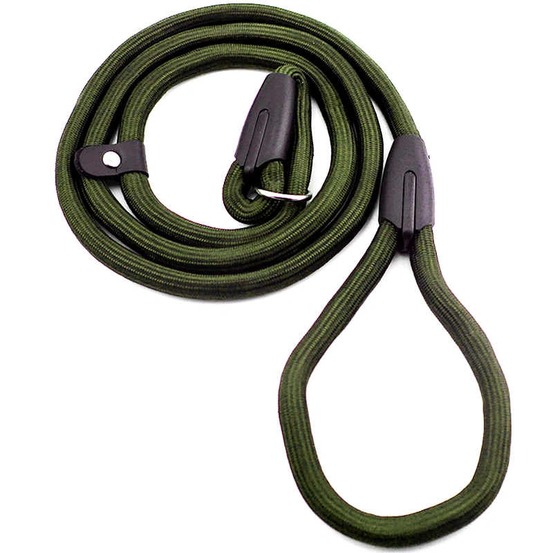 Lowest Price Nylon Pet P Rope Pet Chain Leads Puppy Dog Training Leash