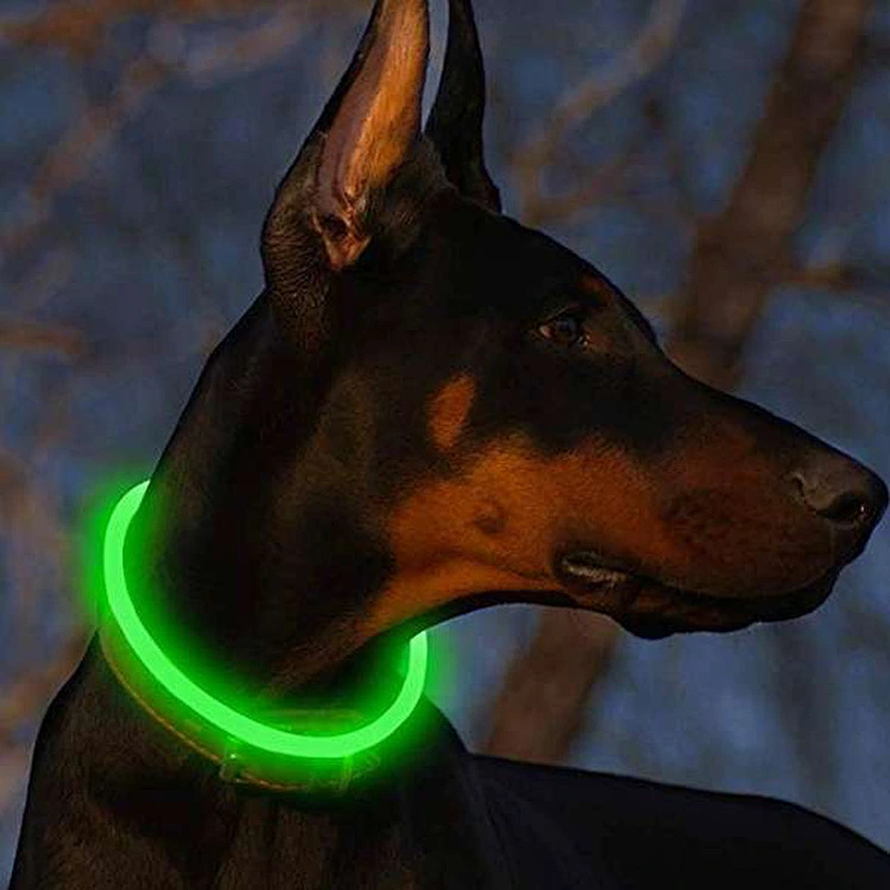 Glowing pet Dog Collar for Night Safety, Fashion Light up Collar for Small Medium Large Dogs USB Rechargeable LED Dog Collar