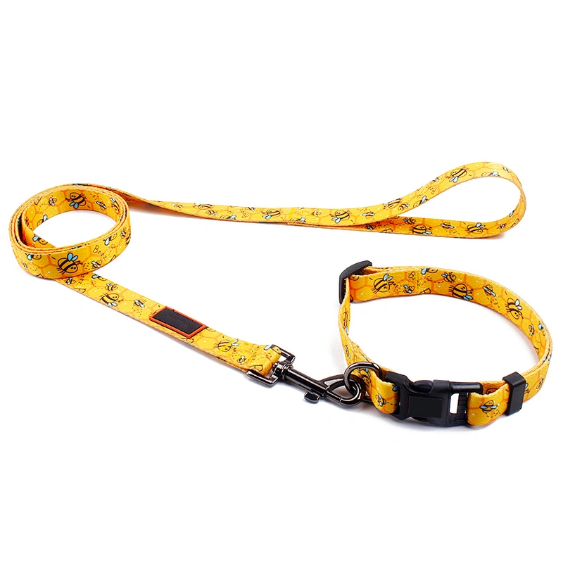 Daily Outdoor Walking Running Training Small Medium Large Dog Collar Leash Set