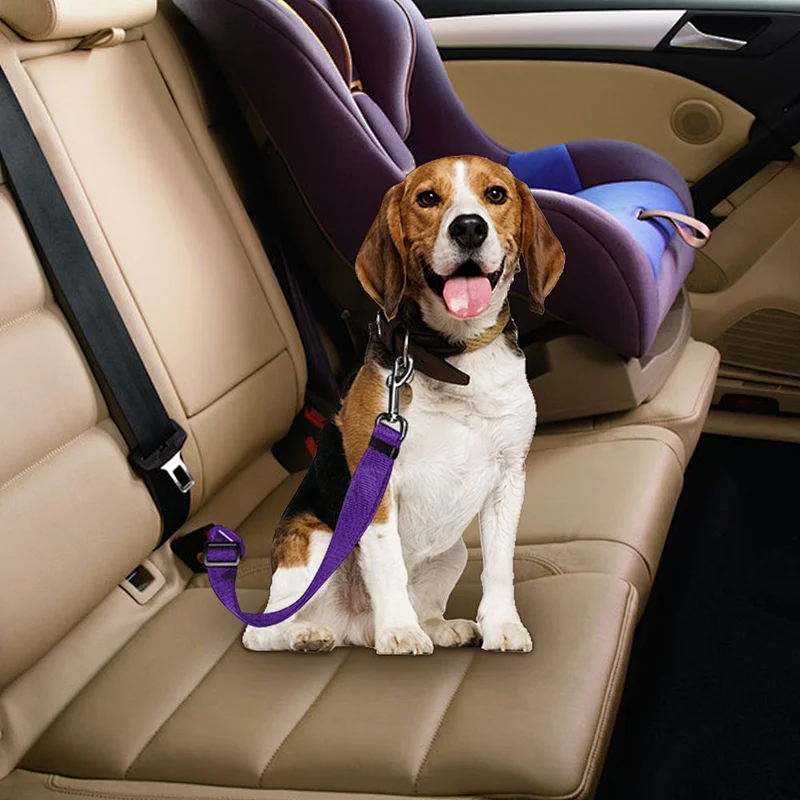 Amazon Nylon Webbing Colorful Belts High Quality Alloy Hook Pets Dog Car Safety Seat Belt