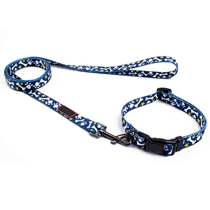 Daily Outdoor Walking Running Training Small Medium Large Dog Collar Leash Set