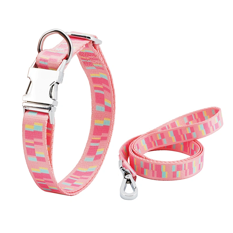 Modern Design High Quality Wholesale Custom Cheap Polyester Silk Printed Dog Leash Collar Set
