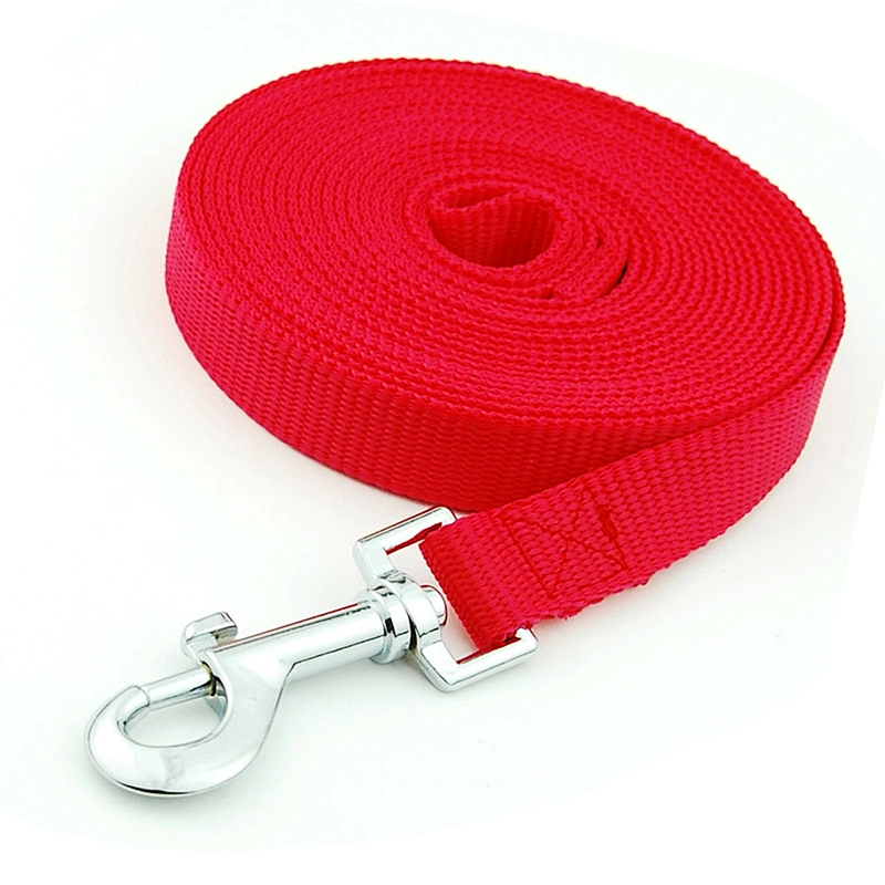 High Quality Good Selling Custom Logo Nylon Webbing Dog Leash With Padded Handle