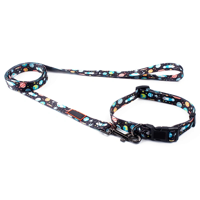 Daily Outdoor Walking Running Training Small Medium Large Dog Collar Leash Set