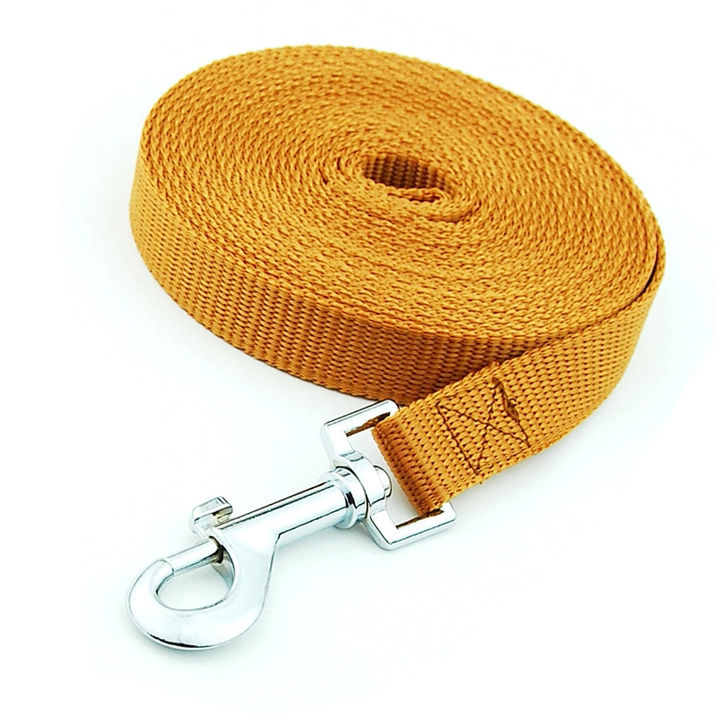 High Quality Good Selling Custom Logo Nylon Webbing Dog Leash With Padded Handle
