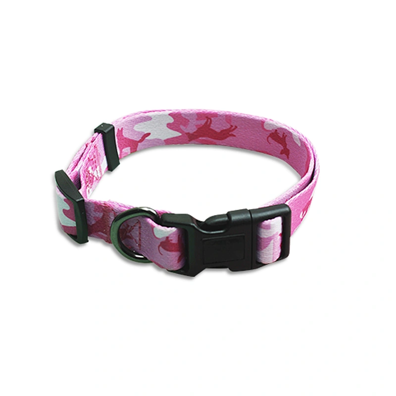 Hot Selling Colorful New Design Heat Transfer Printing 100% Polyester Dog Collar