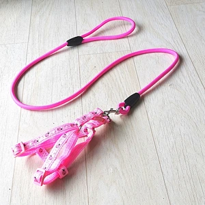 2021 new design pet product Custom wholesale retractable luxury collar dog leash