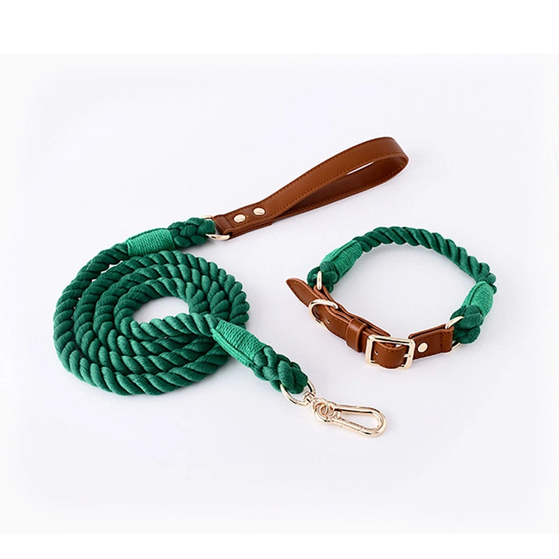 Wholesale Luxury Fashion Colorful Woven Braided Rainbow Cotton Cute Gradient and Collar Rope Set Pet Dog Leash