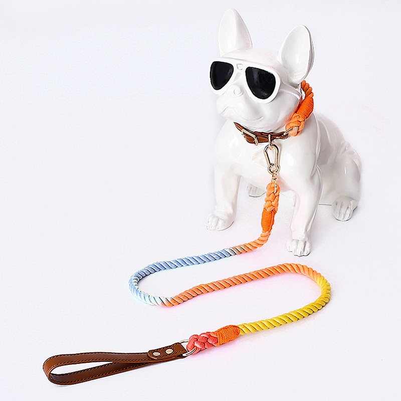 Wholesale Luxury Fashion Colorful Woven Braided Rainbow Cotton Cute Gradient and Collar Rope Set Pet Dog Leash