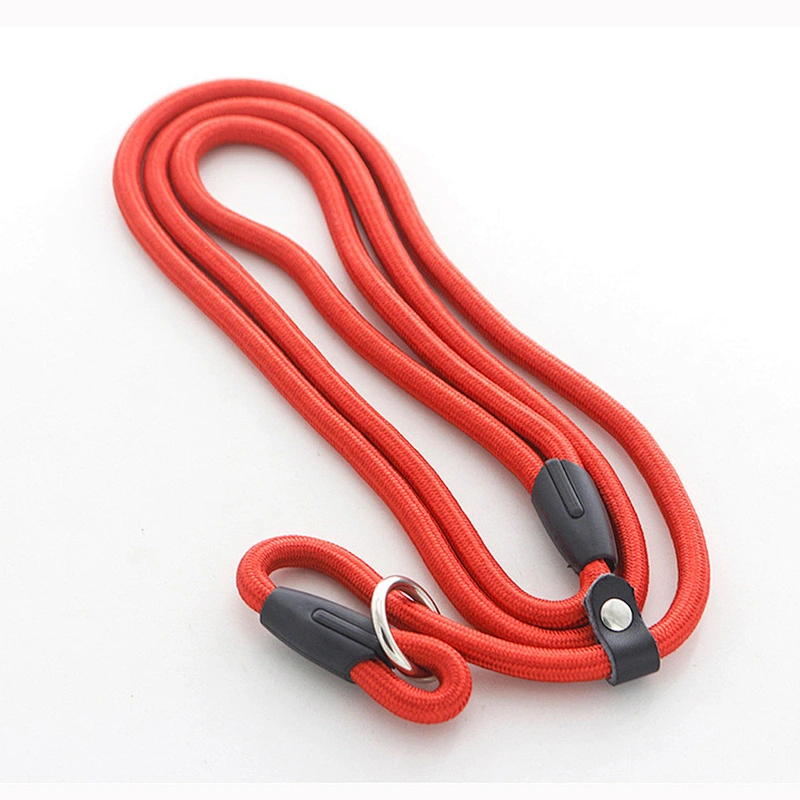 Wholesale Custom Medium Large Perros Mascotas Big Training PP Nylon Sturdy Durable Solid Slip on Show Dog Lead Rope Leash
