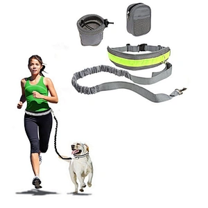Custom 2 in 1 Elastic Training Reflective Adjustable Nylon Big Large Hands Free Waist Walk Running Lead Rope Pet Dog Leash