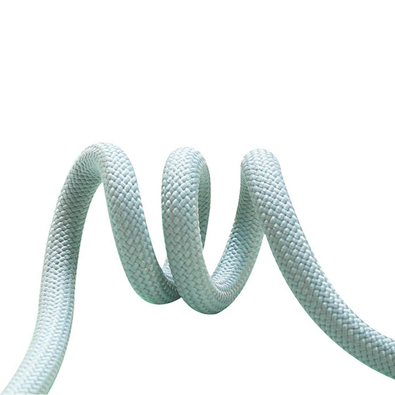 Reflective Foam Handle Metal Buckle Custom Logo Slip on Adjustable Nylon Walking 1.5m Long Pet Cat Dog Lead Rope Leash