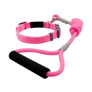 Wholesale Hot Style Dog Walking Rope with Swivel Lockable Hook Pet Supplies Multi-Colors Dog Leads Collars with Padded Handle