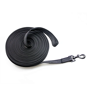 Wholesale Custom Size Color Logo Outdoor Training Walk Sublimated Woven Long PP Polyester Pet for Dog Lead Nylon Leash