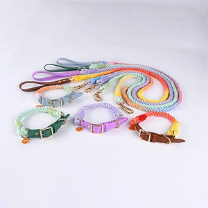 Wholesale Luxury Fashion Colorful Woven Braided Rainbow Cotton Cute Gradient and Collar Rope Set Pet Dog Leash