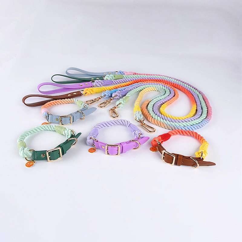 Wholesale Luxury Fashion Colorful Woven Braided Rainbow Cotton Cute Gradient and Collar Rope Set Pet Dog Leash