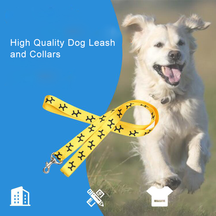 Dog leash (1).jpg