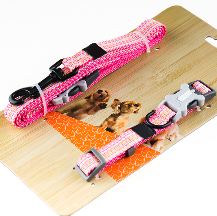 Dog leash (24).jpg