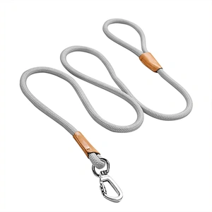 Reflective Foam Handle Metal Buckle Custom Logo Slip on Adjustable Nylon Walking 1.5m Long Pet Cat Dog Lead Rope Leash