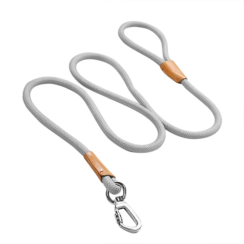 Reflective Foam Handle Metal Buckle Custom Logo Slip on Adjustable Nylon Walking 1.5m Long Pet Cat Dog Lead Rope Leash