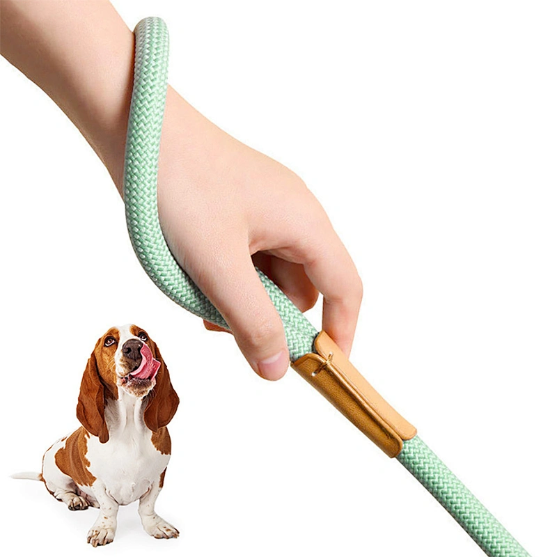Reflective Foam Handle Metal Buckle Custom Logo Slip on Adjustable Nylon Walking 1.5m Long Pet Cat Dog Lead Rope Leash